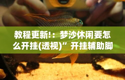 教程更新!：梦沙休闲要怎么开挂(透视)”开挂辅助脚本+详细开挂安装教程