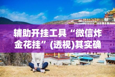 辅助开挂工具“微信炸金花挂”(透视)其实确实有挂