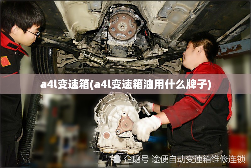a4l变速箱(a4l变速箱油用什么牌子)