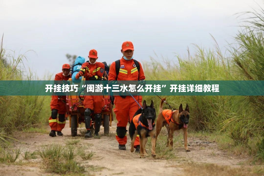 开挂技巧“闽游十三水怎么开挂”开挂详细教程