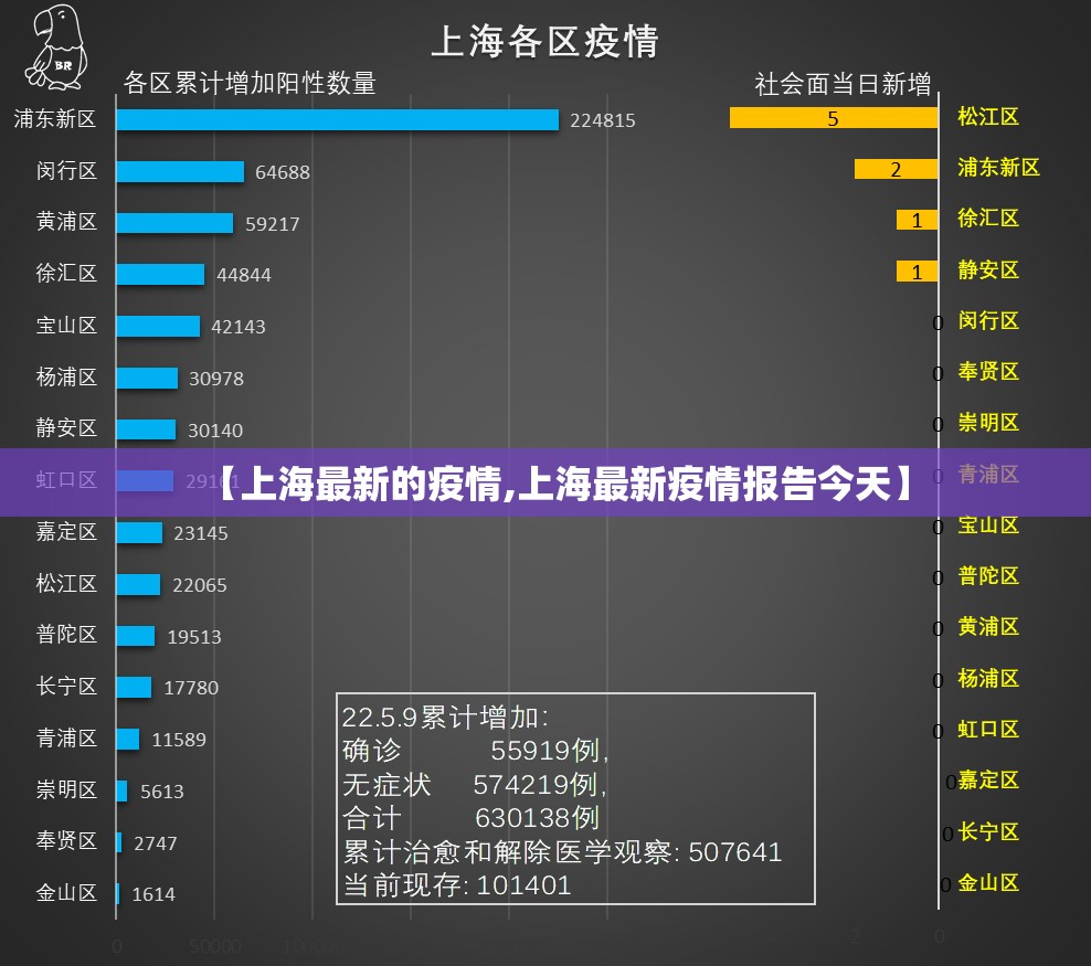 【上海最新的疫情,上海最新疫情报告今天】 【上海最新的疫情,上海最新疫情报告今天】