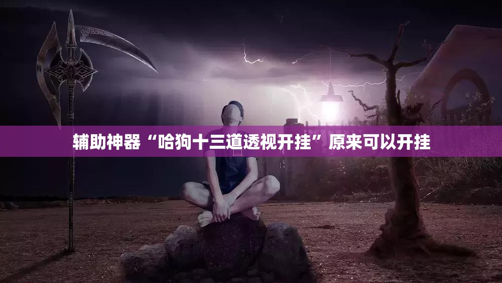 辅助神器“哈狗十三道透视开挂”原来可以开挂
