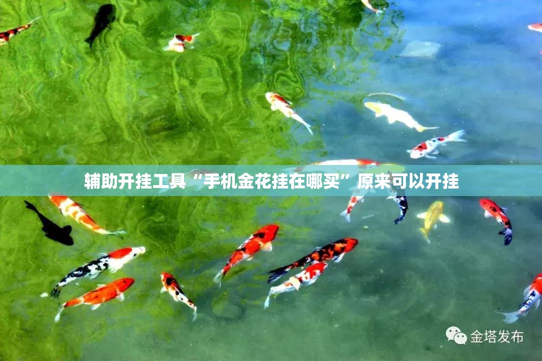 辅助开挂工具“手机金花挂在哪买”原来可以开挂