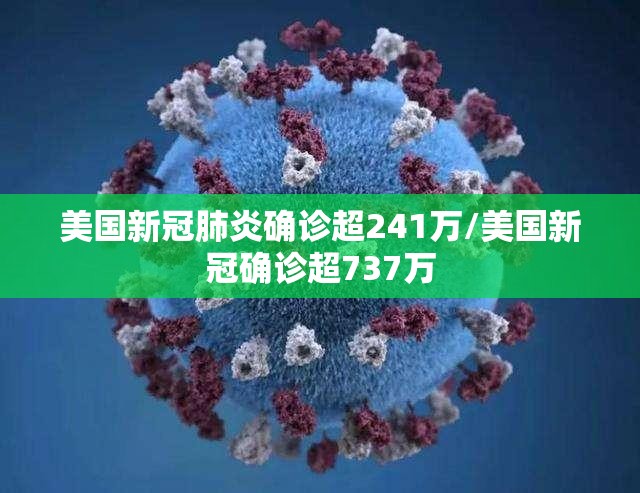 美国新冠肺炎确诊超241万/美国新冠确诊超737万