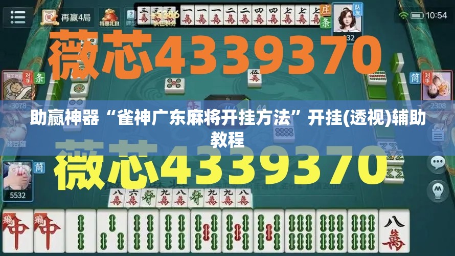 助赢神器“雀神广东麻将开挂方法”开挂(透视)辅助教程