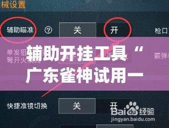 辅助开挂工具“广东雀神试用一天”开挂(透视)辅助教程