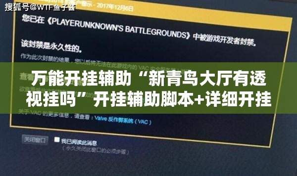 万能开挂辅助“新青鸟大厅有透视挂吗”开挂辅助脚本+详细开挂安装教程