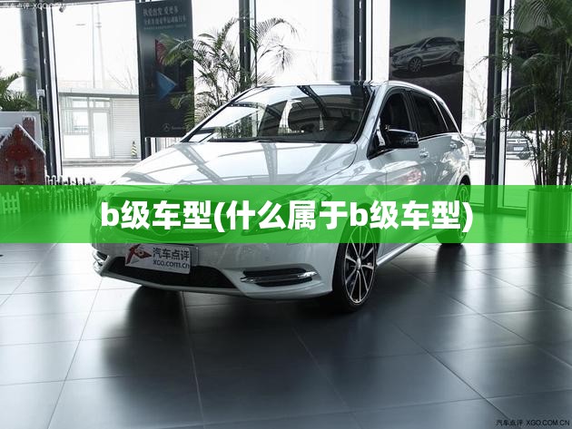 b级车型(什么属于b级车型) b级车型(什么属于b级车型)