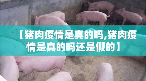 【猪肉疫情是真的吗,猪肉疫情是真的吗还是假的】
