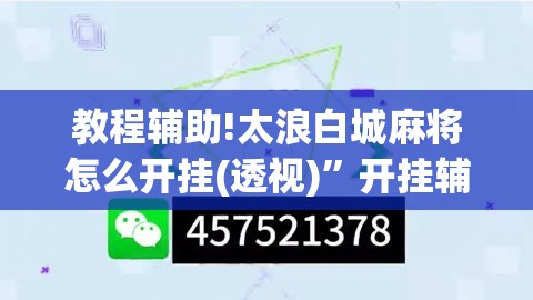 教程辅助!太浪白城麻将怎么开挂(透视)”开挂辅助脚本+详细开挂安装教程