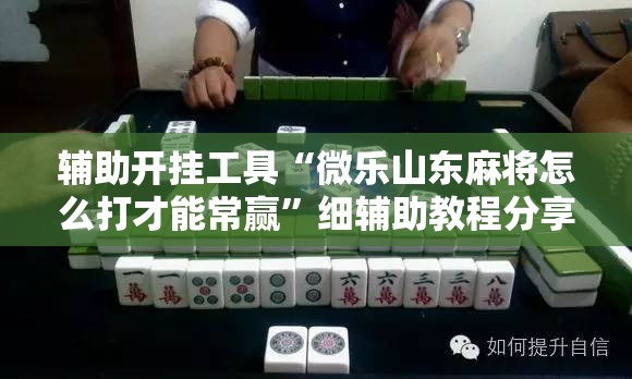 辅助开挂工具“微乐山东麻将怎么打才能常赢”细辅助教程分享