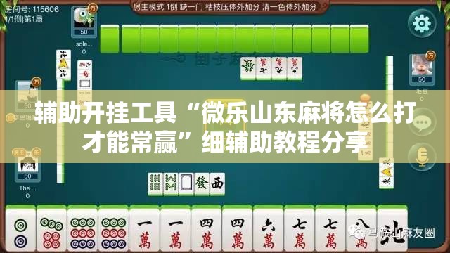 辅助开挂工具“微乐山东麻将怎么打才能常赢”细辅助教程分享