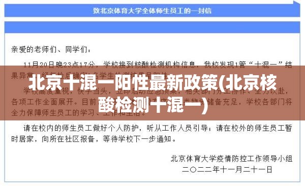 北京十混一阳性最新政策(北京核酸检测十混一)