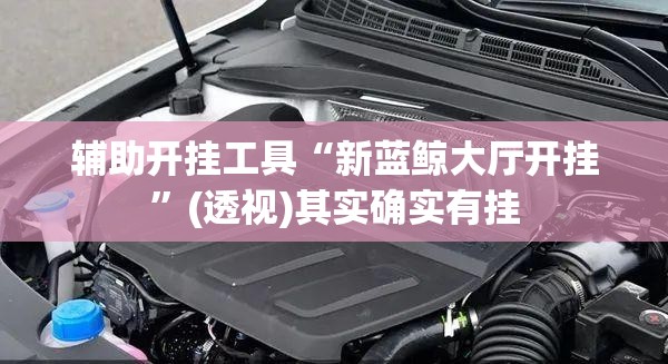 辅助开挂工具“新蓝鲸大厅开挂	”(透视)其实确实有挂