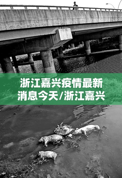 浙江嘉兴疫情最新消息今天/浙江嘉兴市疫情最新情况 浙江嘉兴疫情最新消息今天/浙江嘉兴市疫情最新情况
