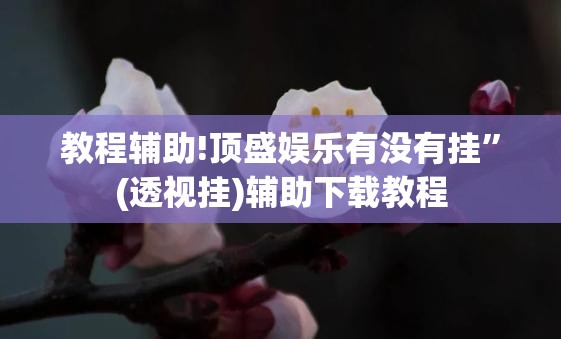 教程辅助!顶盛娱乐有没有挂”(透视挂)辅助下载教程