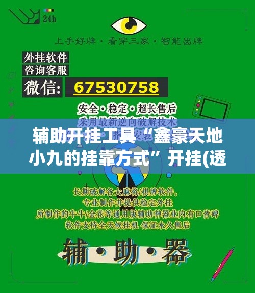 辅助开挂工具“鑫豪天地小九的挂靠方式”开挂(透视)最新辅助详细