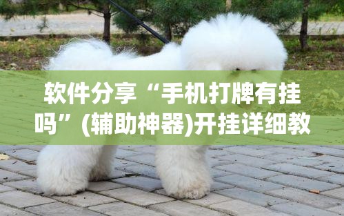 软件分享“手机打牌有挂吗”(辅助神器)开挂详细教程