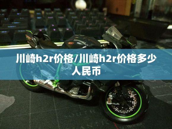 川崎h2r价格/川崎h2r价格多少人民币