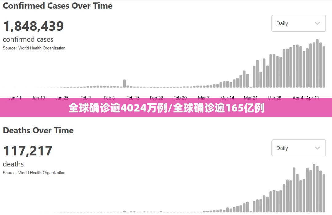 全球确诊逾4024万例/全球确诊逾165亿例