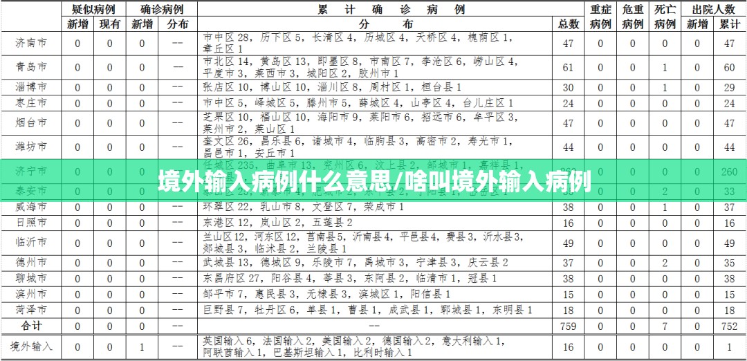 境外输入病例什么意思/啥叫境外输入病例 境外输入病例什么意思/啥叫境外输入病例