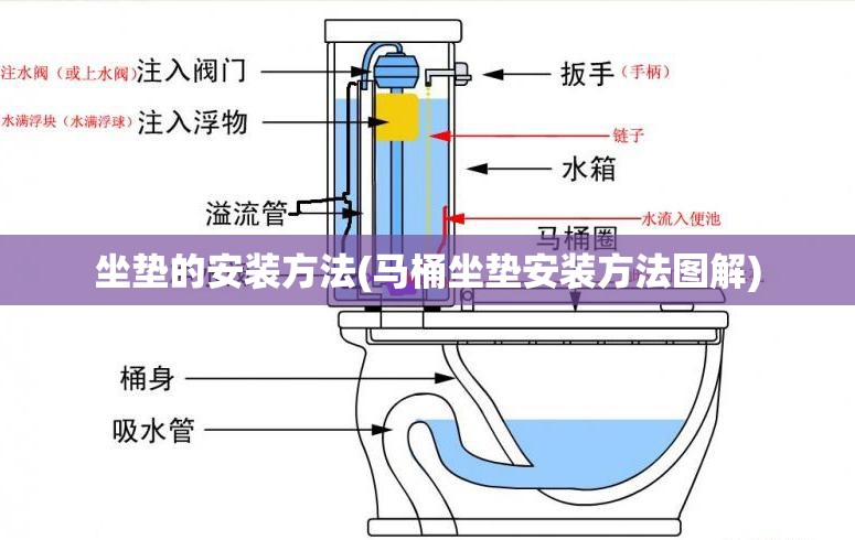 坐垫的安装方法(马桶坐垫安装方法图解) 坐垫的安装方法(马桶坐垫安装方法图解)