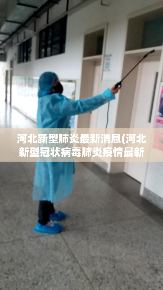 河北新型肺炎最新消息(河北新型冠状病毒肺炎疫情最新消息) 河北新型肺炎最新消息(河北新型冠状病毒肺炎疫情最新消息)
