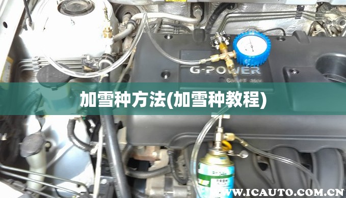 加雪种方法(加雪种教程)
