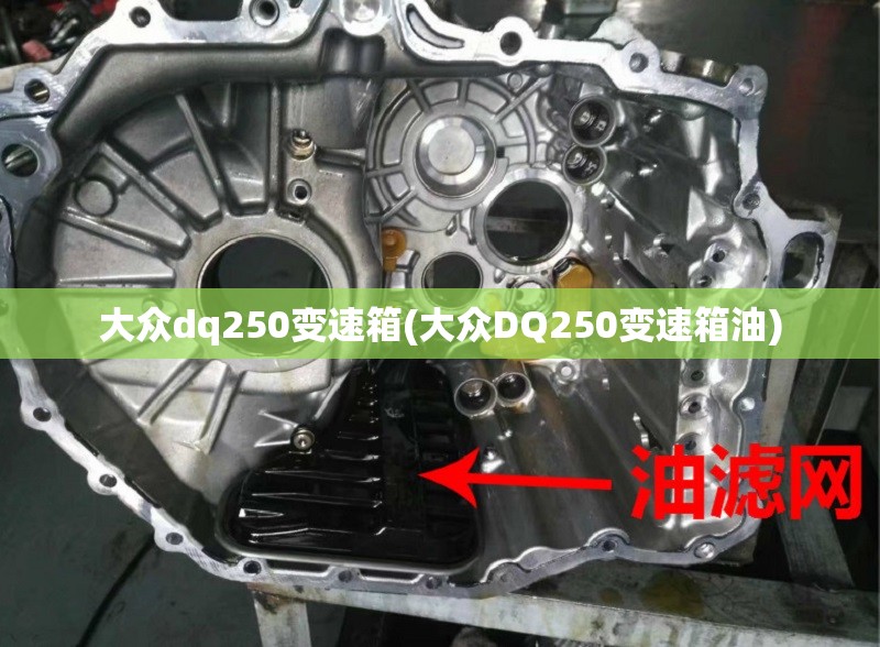 大众dq250变速箱(大众DQ250变速箱油) 大众dq250变速箱(大众DQ250变速箱油)