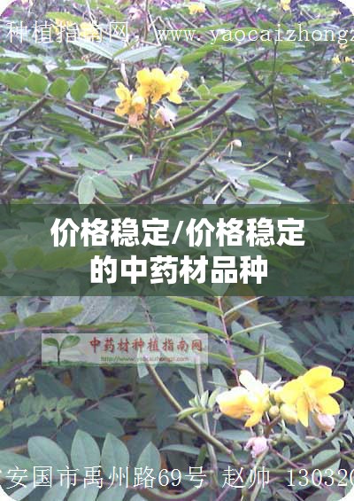价格稳定/价格稳定的中药材品种