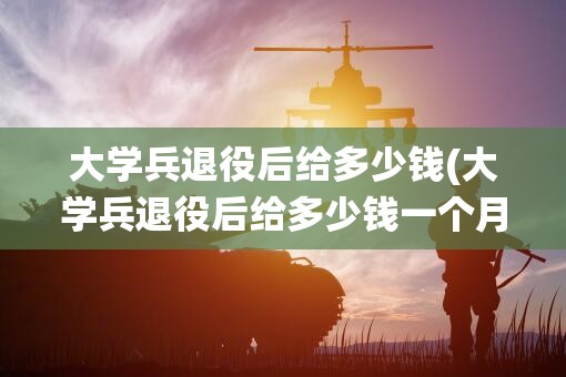 大学兵退役后给多少钱(大学兵退役后给多少钱一个月) 大学兵退役后给多少钱(大学兵退役后给多少钱一个月)