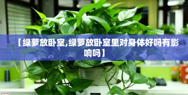 【绿萝放卧室,绿萝放卧室里对身体好吗有影响吗】