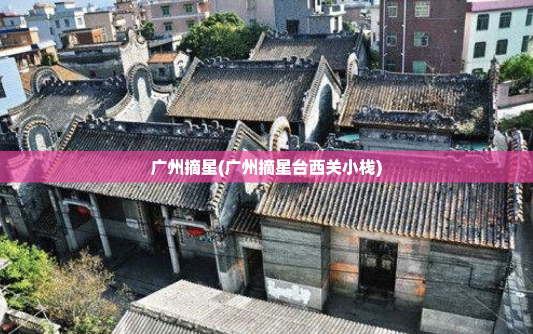 广州摘星(广州摘星台西关小栈) 广州摘星(广州摘星台西关小栈)