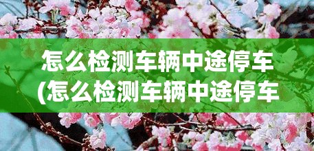 怎么检测车辆中途停车(怎么检测车辆中途停车位) 怎么检测车辆中途停车(怎么检测车辆中途停车位)