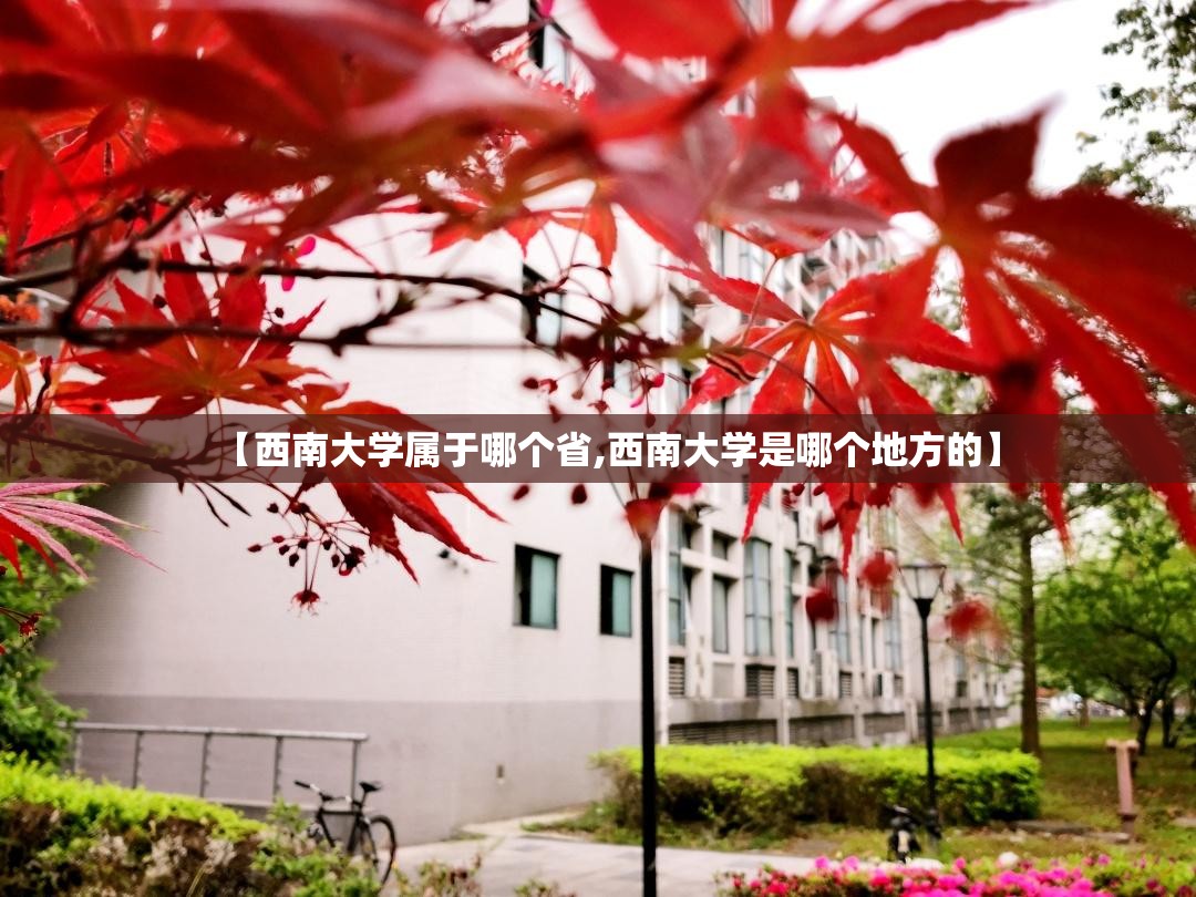 【西南大学属于哪个省,西南大学是哪个地方的】 【西南大学属于哪个省,西南大学是哪个地方的】