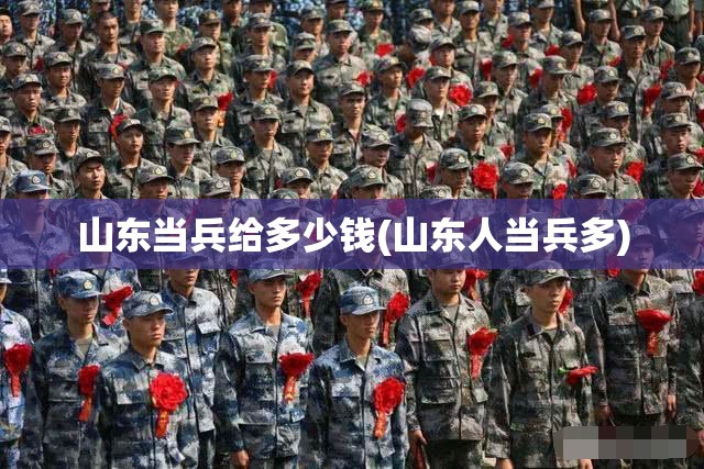 山东当兵给多少钱(山东人当兵多) 山东当兵给多少钱(山东人当兵多)
