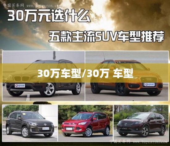 30万车型/30万 车型