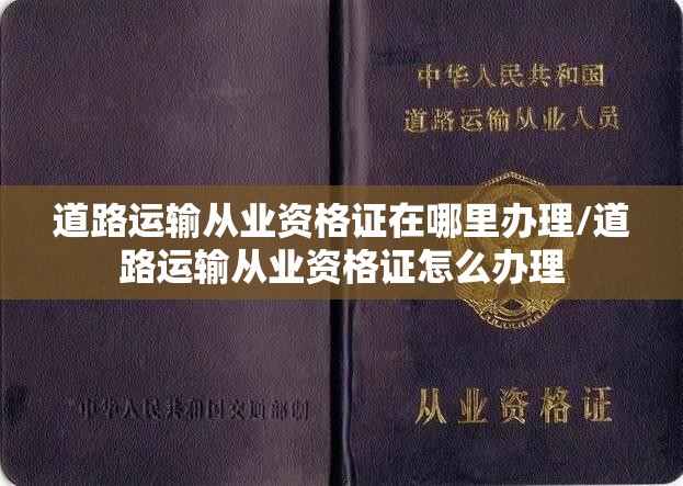 道路运输从业资格证在哪里办理/道路运输从业资格证怎么办理 道路运输从业资格证在哪里办理/道路运输从业资格证怎么办理