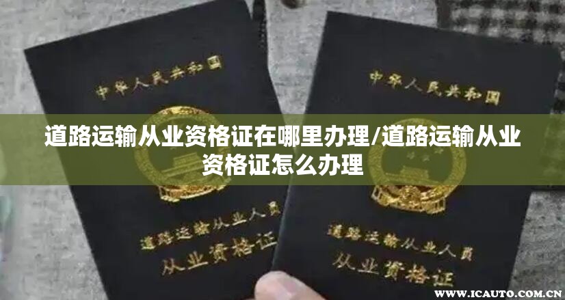 道路运输从业资格证在哪里办理/道路运输从业资格证怎么办理 道路运输从业资格证在哪里办理/道路运输从业资格证怎么办理