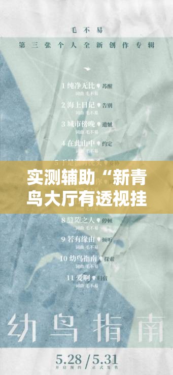 实测辅助“新青鸟大厅有透视挂吗”详细开挂教程