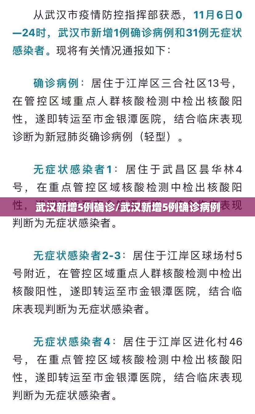 武汉新增5例确诊/武汉新增5例确诊病例 武汉新增5例确诊/武汉新增5例确诊病例