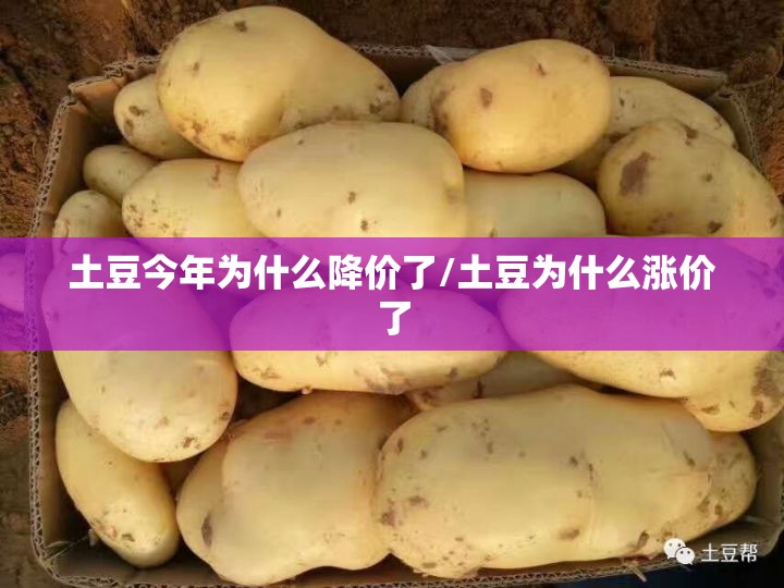 土豆今年为什么降价了/土豆为什么涨价了 土豆今年为什么降价了/土豆为什么涨价了