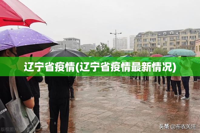 辽宁省疫情(辽宁省疫情最新情况)