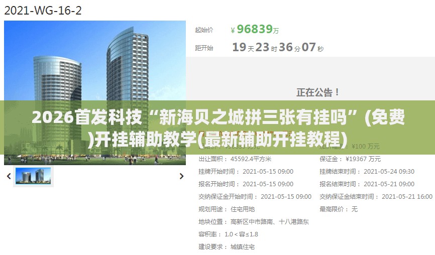 2026首发科技“新海贝之城拼三张有挂吗”(免费)开挂辅助教学(最新辅助开挂教程)