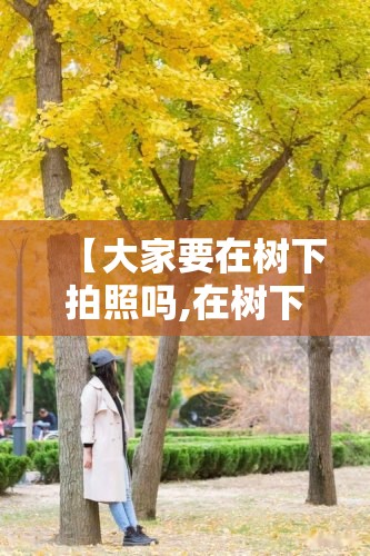 【大家要在树下拍照吗,在树下拍照有什么讲究】 【大家要在树下拍照吗,在树下拍照有什么讲究】