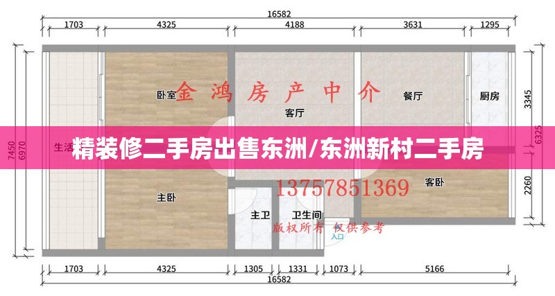 精装修二手房出售东洲/东洲新村二手房