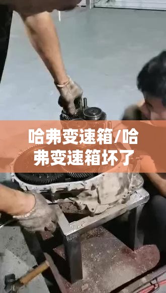 哈弗变速箱/哈弗变速箱坏了维修大概多少钱 哈弗变速箱/哈弗变速箱坏了维修大概多少钱