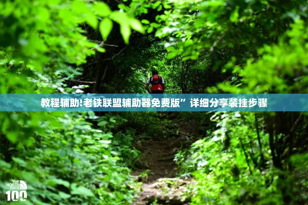 教程辅助!老铁联盟辅助器免费版”详细分享装挂步骤