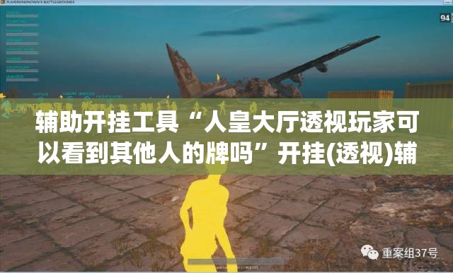 辅助开挂工具“人皇大厅透视玩家可以看到其他人的牌吗”开挂(透视)辅助教程