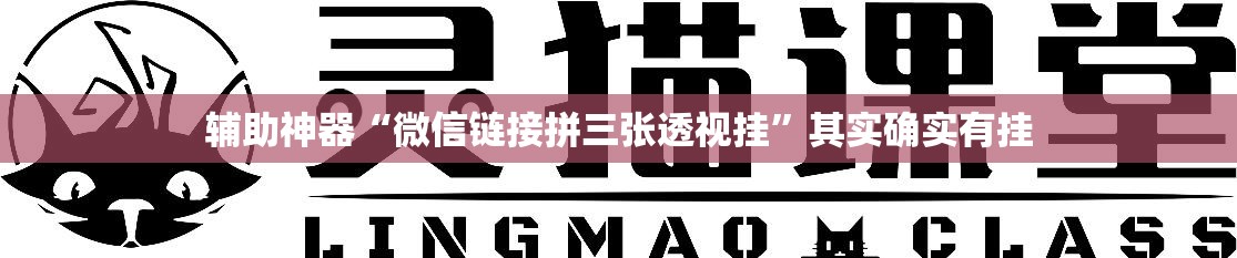 辅助神器“微信链接拼三张透视挂”其实确实有挂